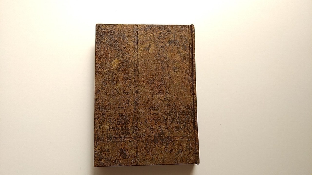 ✒A6ノート「古木のまなざし」【Jフラット】