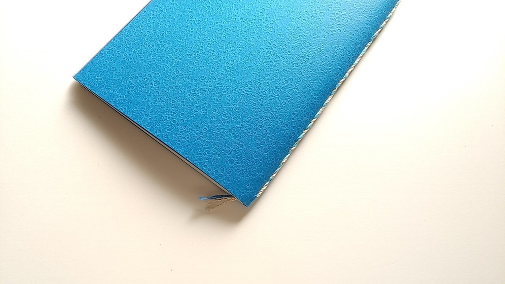 ✒A6ノート「うまれゆくもの」【紙たくさん!ノート】