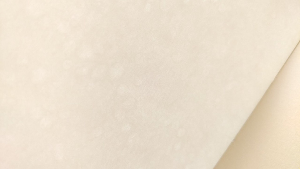 ✒A6ノート「ムーン·ウォーカー」【紙たくさん!ノート】