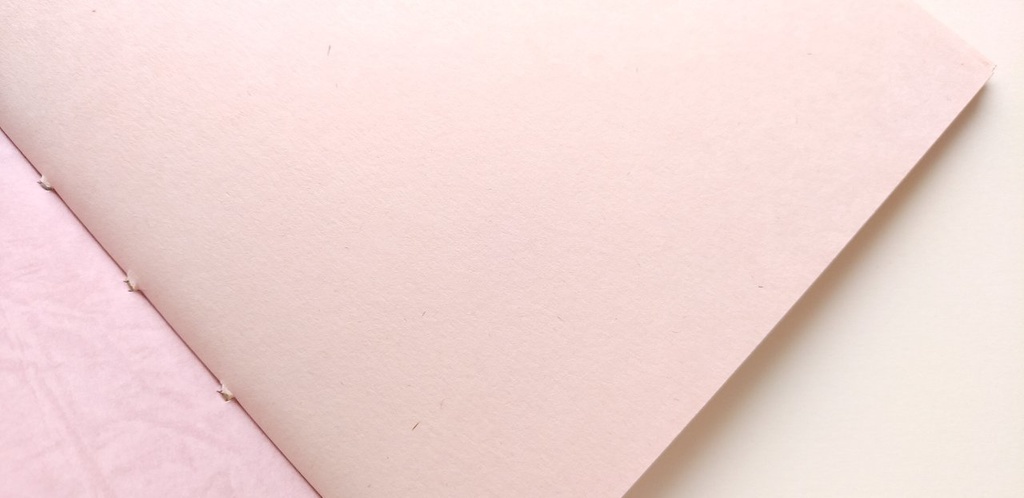 A5ノート【薄手 Re.】「景気づけに薬味パッパ!!」紙たくさんノート!