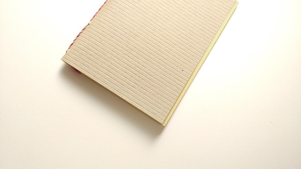 ⚠【Passportクリーム64P】紙たくさん！新利休+クリーム