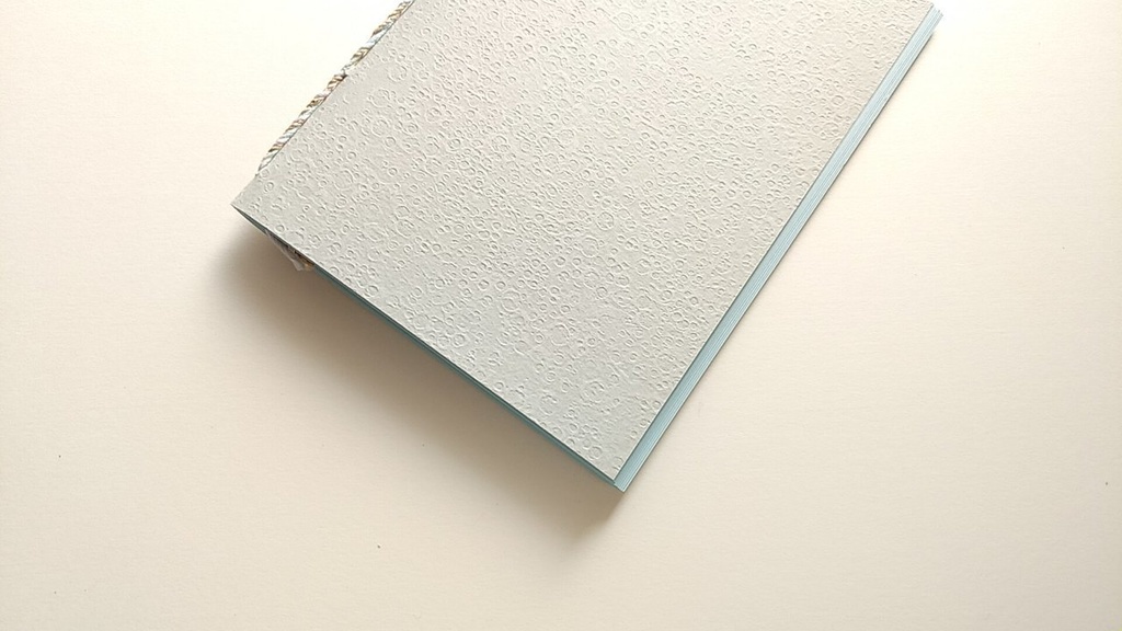 【Passport 薄ブルー64P】紙たくさん！ かぐやグレー+水