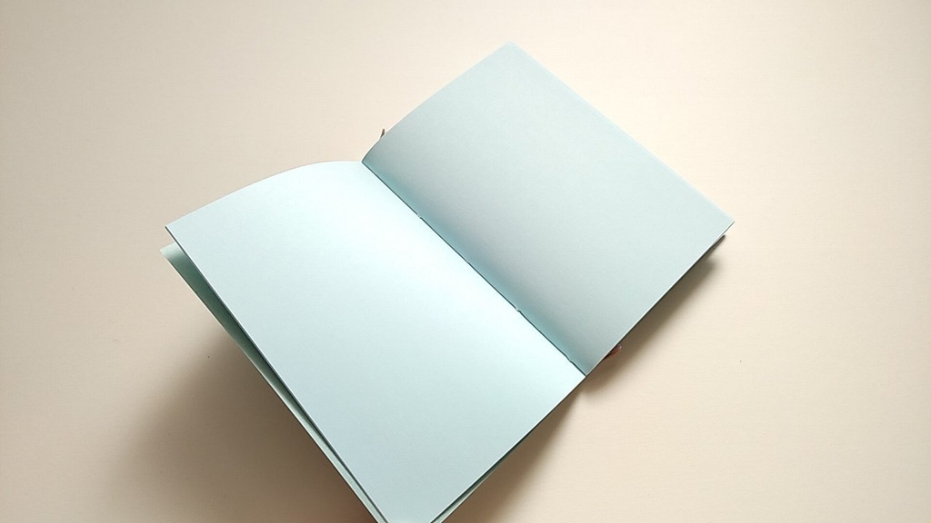 【Passport 薄ブルー64P】紙たくさん! モスグリーン+水