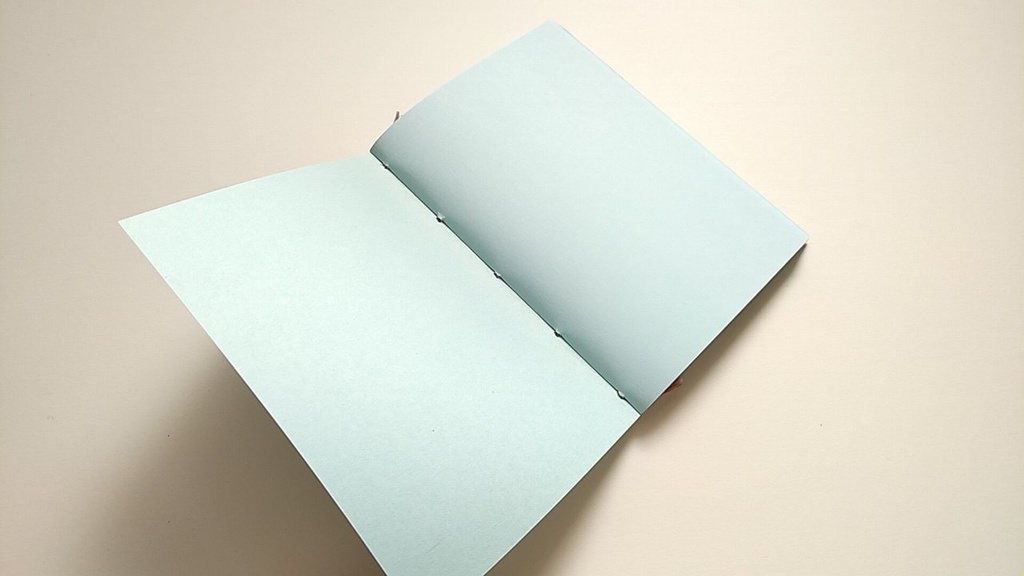 【Passport 薄ブルー64P】紙たくさん! モスグリーン+水