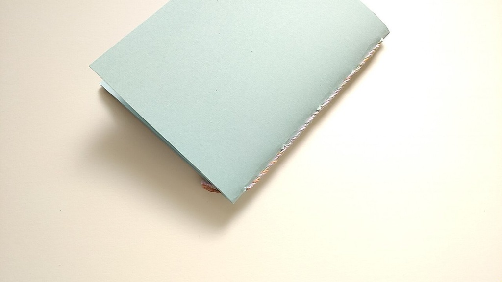 【Passport 薄ブルー64P】紙たくさん! モスグリーン+水