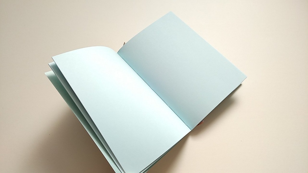 【Passport 薄ブルー64P】紙たくさん! モスグリーン+水