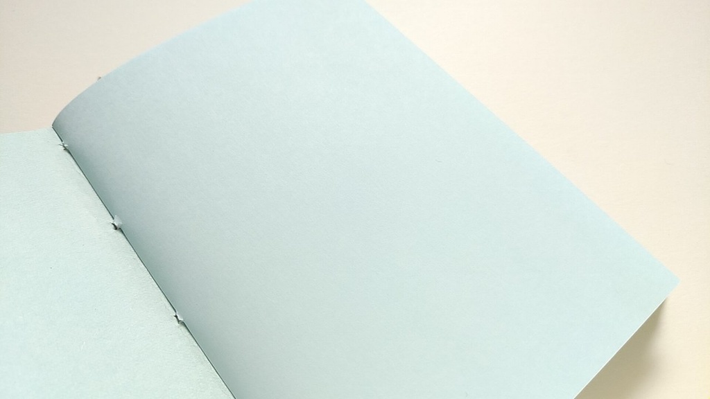 【Passport 薄ブルー64P】紙たくさん! モスグリーン+水