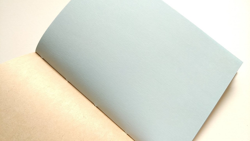 【Passport 64P】紙たくさん! 利休ブラウン+カラフル