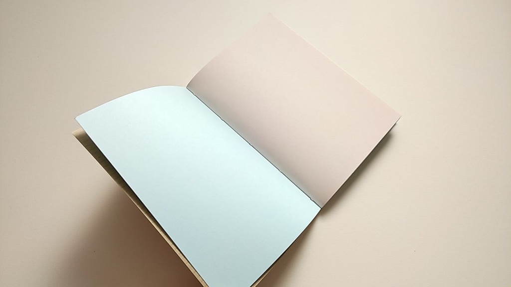 【Passport 64P】紙たくさん! 利休ブラウン+カラフル