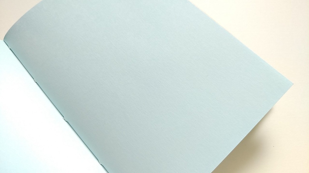 【Passport 64P】紙たくさん! 利休ブラウン+カラフル