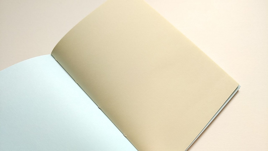 【Passport 64P】紙たくさん! 利休ブラウン+カラフル