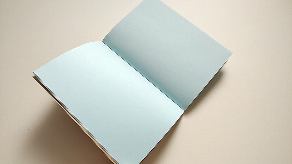 【Passport 64P】紙たくさん! 利休ブラウン+カラフル