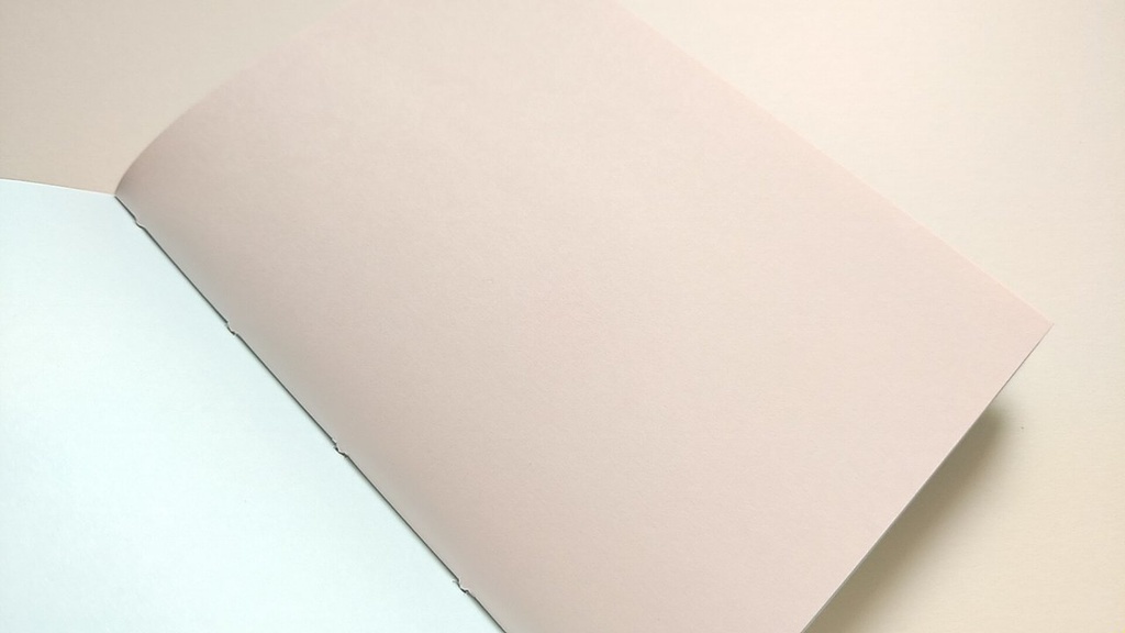 【Passport 64P】紙たくさん! 利休ブラウン+カラフル