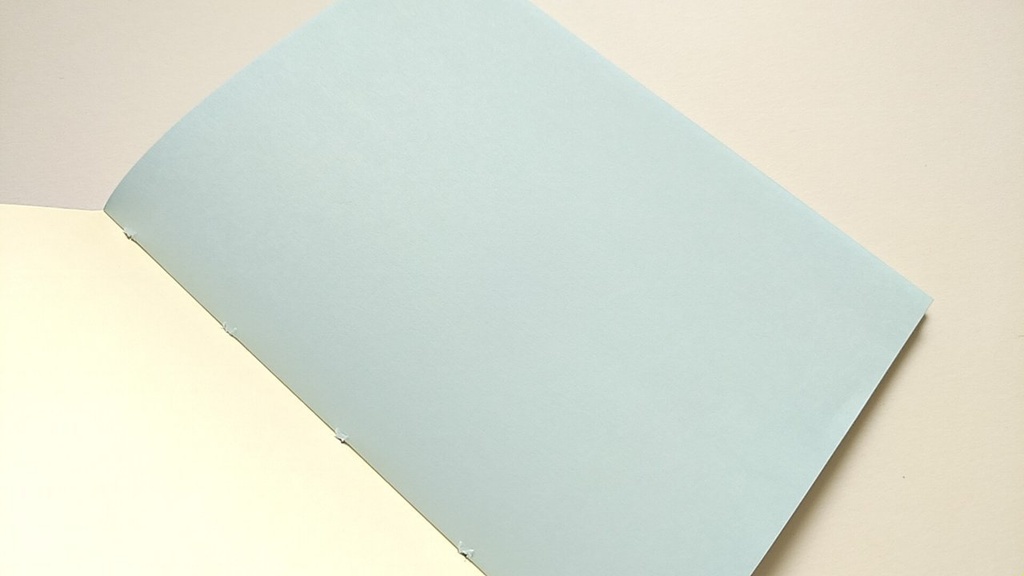 【Passport 64P】紙たくさん! 利休ブラウン+カラフル