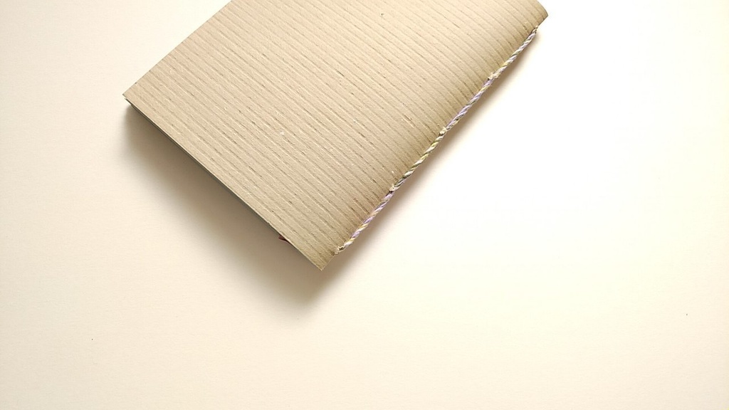 【Passport 64P】紙たくさん! 利休ブラウン+カラフル