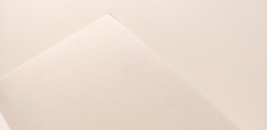 A6ノート “終わり”を知らぬ-海月-Ⅰ【紙たくさん!ノート】