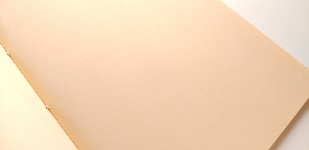 A6ノート「おとぎの森へようこそ」【紙たくさん!ノート】