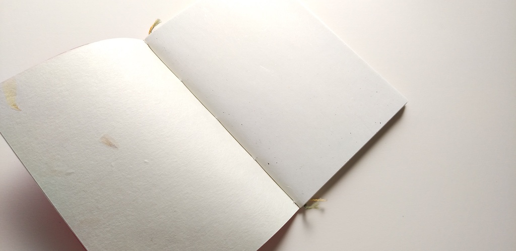 A6ノート「植物と水にかこまれて」【紙たくさん!ノート】