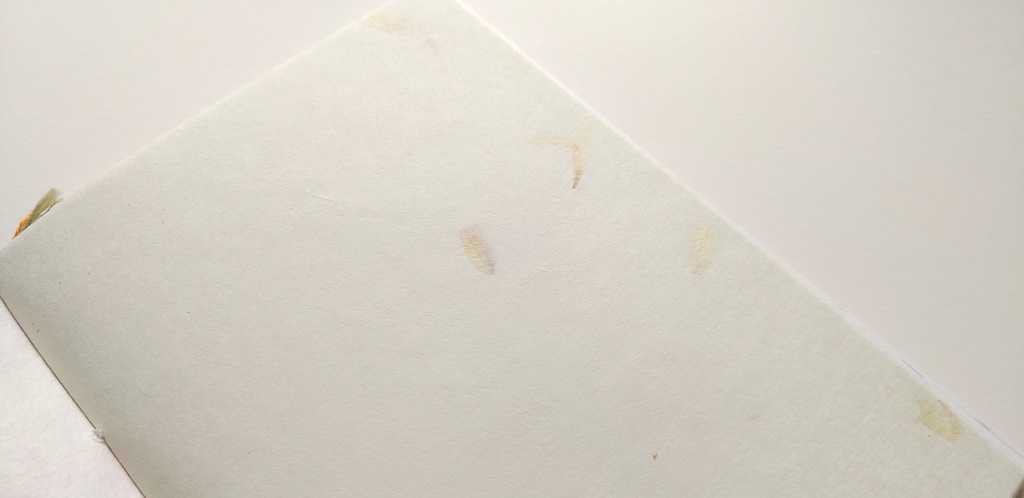 A6ノート「植物と水にかこまれて」【紙たくさん!ノート】