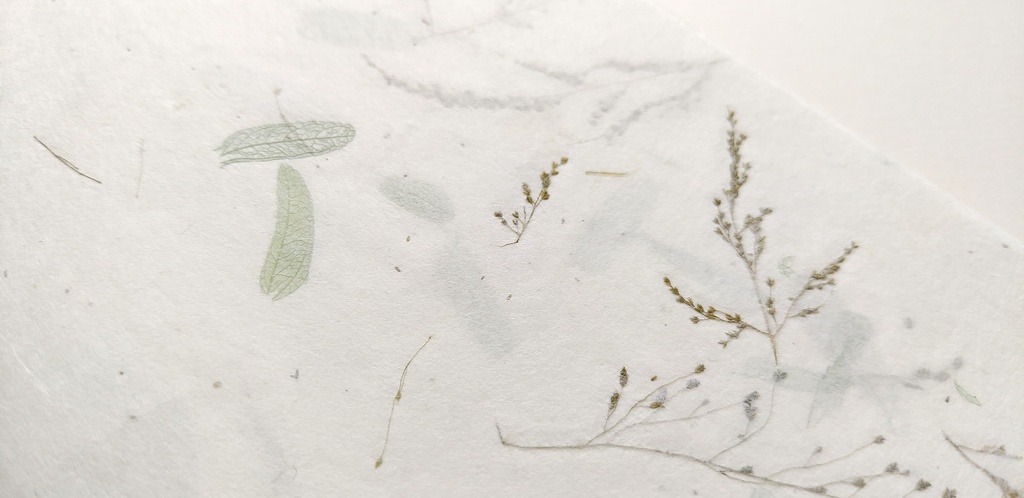 A6ノート「植物と水にかこまれて」【紙たくさん!ノート】