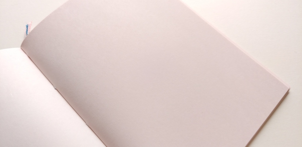 【Passport 桜64P】紙たくさん! かぐや緑+ピンク