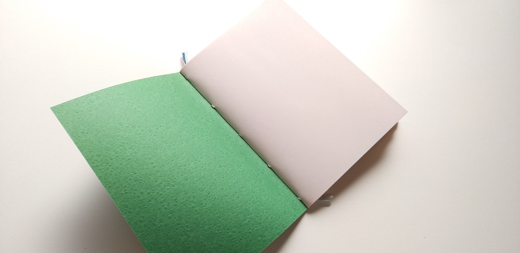 【Passport 桜64P】紙たくさん! かぐや緑+ピンク