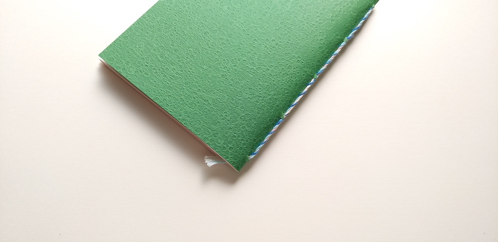 【Passport 桜64P】紙たくさん! かぐや緑+ピンク