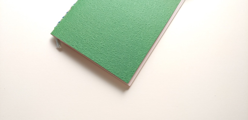 【Passport 桜64P】紙たくさん! かぐや緑+ピンク