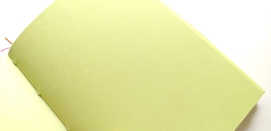 【Passport-厚紙- モエギ64P】紙たくさん! 新利休 茶+モエギ