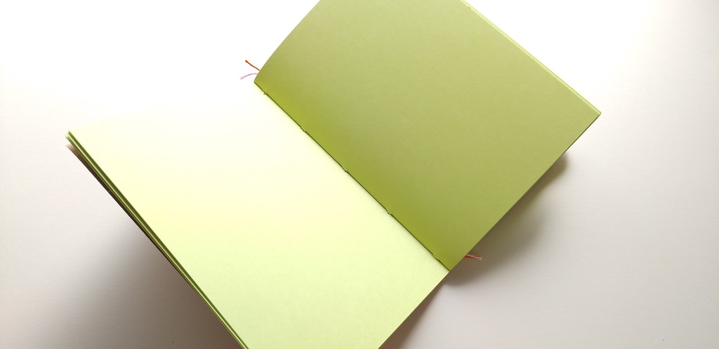 【Passport-厚紙- モエギ64P】紙たくさん! 新利休 茶+モエギ