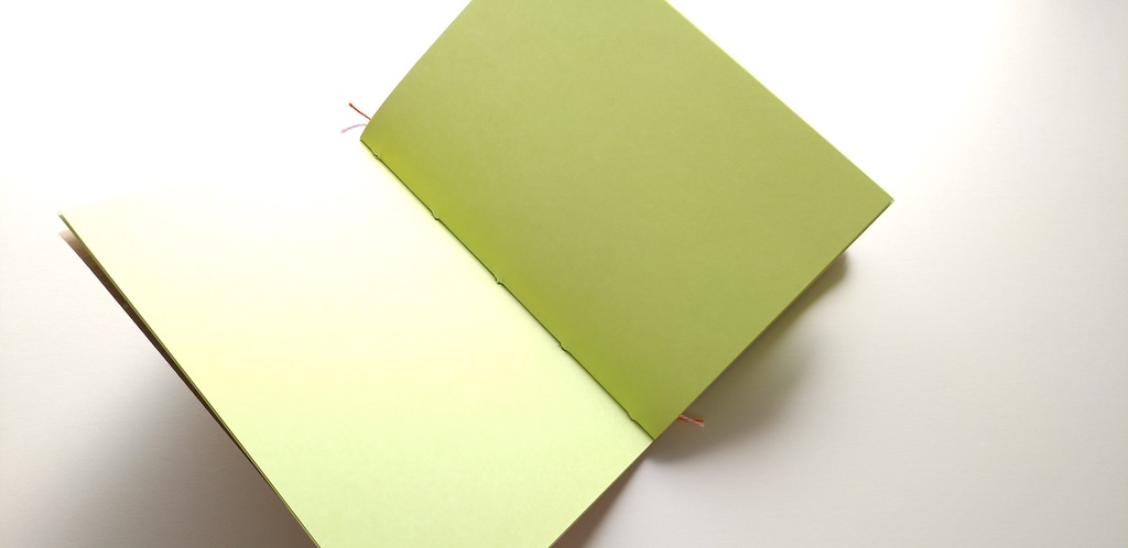 【Passport-厚紙- モエギ64P】紙たくさん! 新利休 茶+モエギ