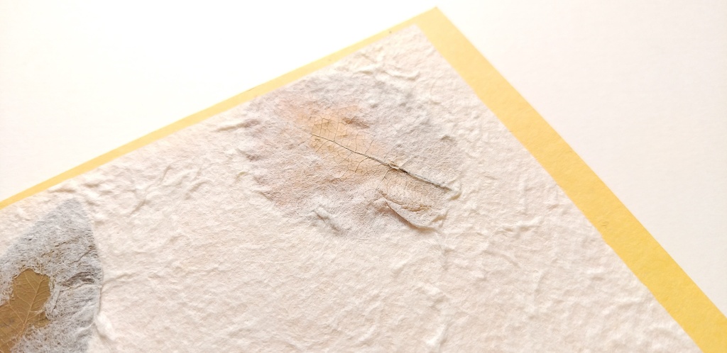 A6ノート「足元の1枚」【紙たくさん!ノート】