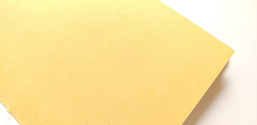 A6ノート「足元の1枚」【紙たくさん!ノート】