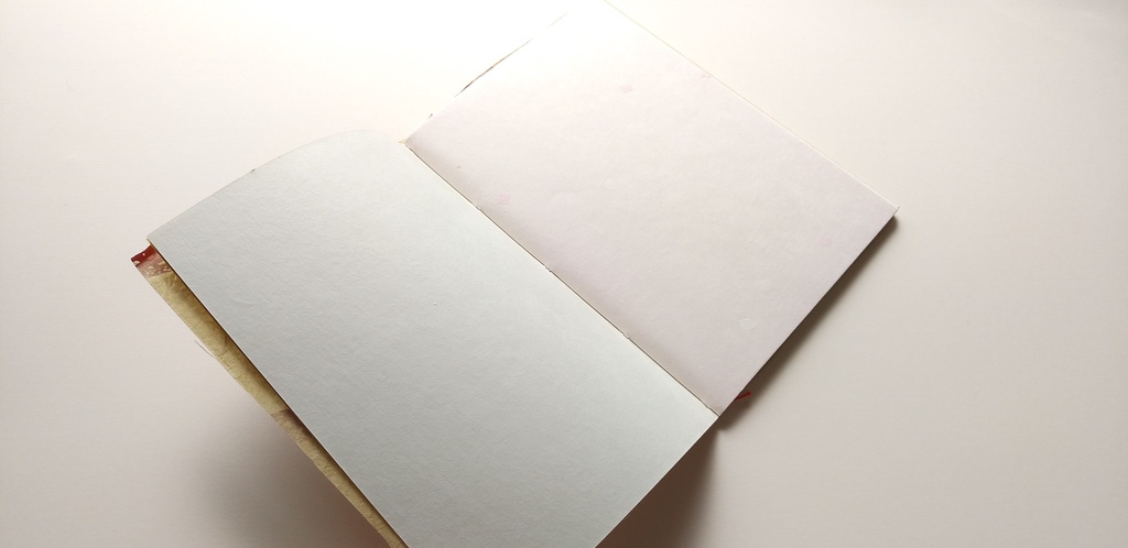 A6ノート「キノコを感じてみた」【紙たくさん!ノート】