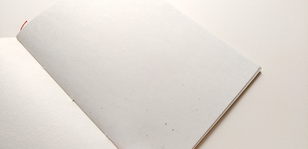 A6ノート「キノコを感じてみた」【紙たくさん!ノート】