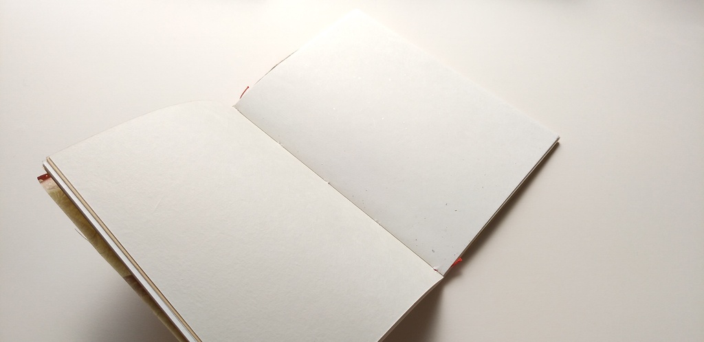 A6ノート「キノコを感じてみた」【紙たくさん!ノート】