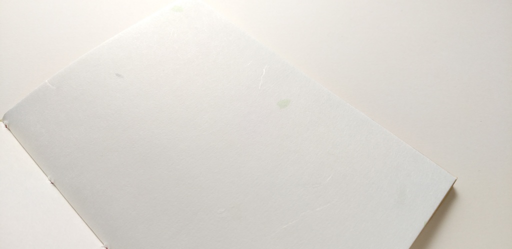 A6ノート「キノコを感じてみた」【紙たくさん!ノート】