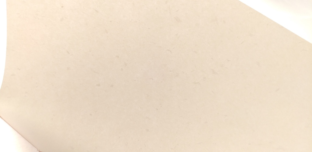 A6ノート「キノコを感じてみた」【紙たくさん!ノート】