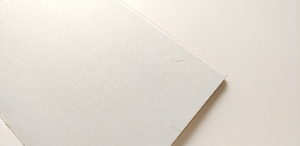 A6ノート「キノコを感じてみた」【紙たくさん!ノート】