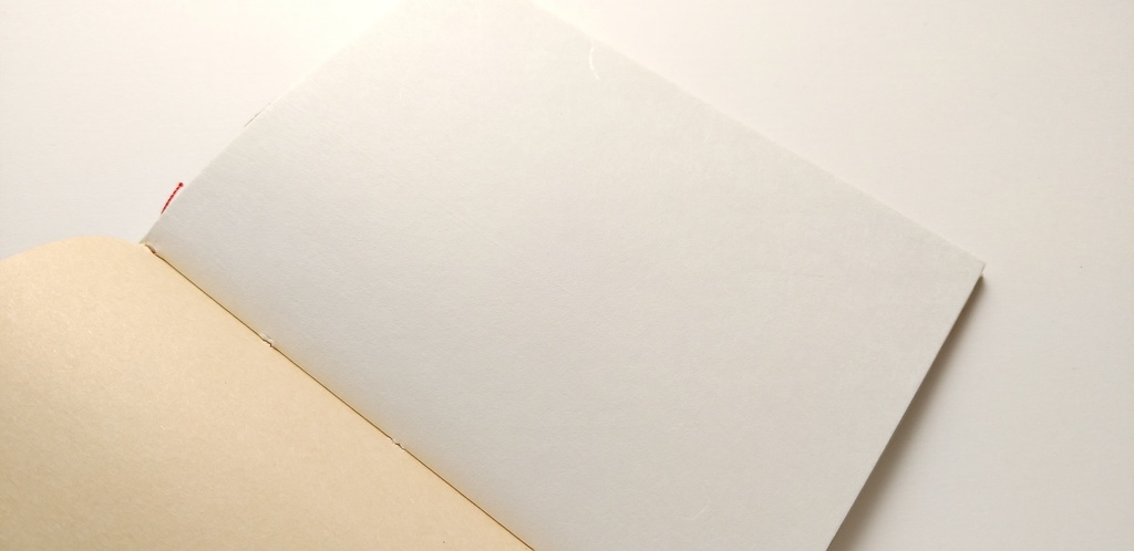 A6ノート「キノコを感じてみた」【紙たくさん!ノート】