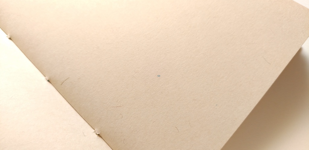 A6ノート「旧作たーんとオレンジ」★【紙たくさん!ノート】