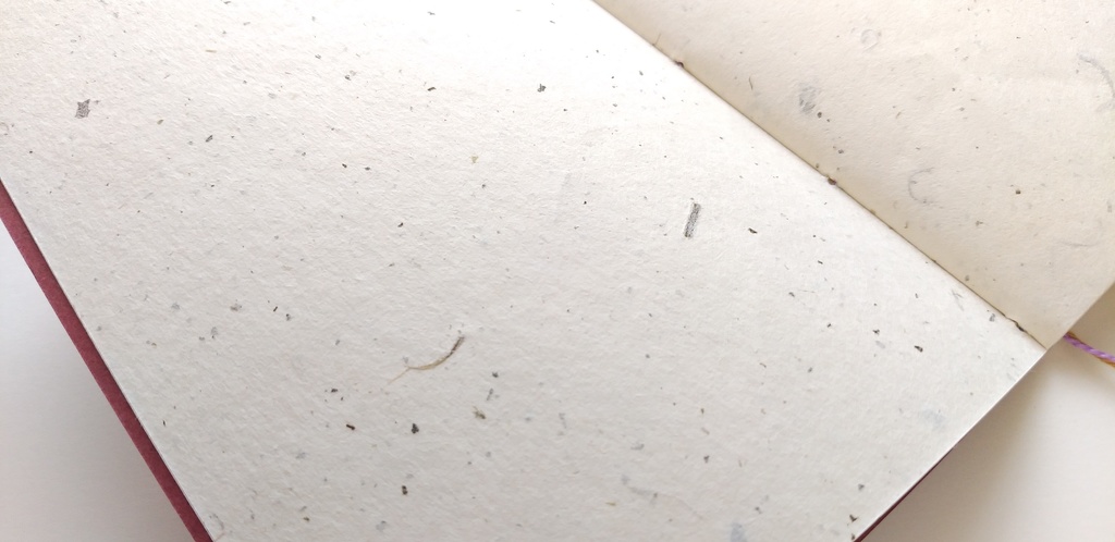 A6ノート「箱入りはおいしい」【紙たくさん!ノート】