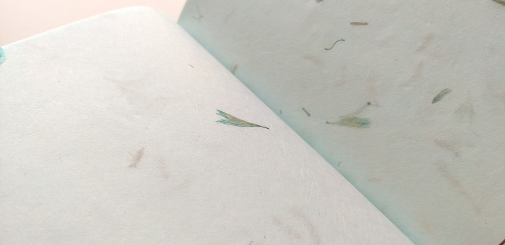 A6ノート「雅、ゆうが、たまにおちゃめ。」【Jフラット】