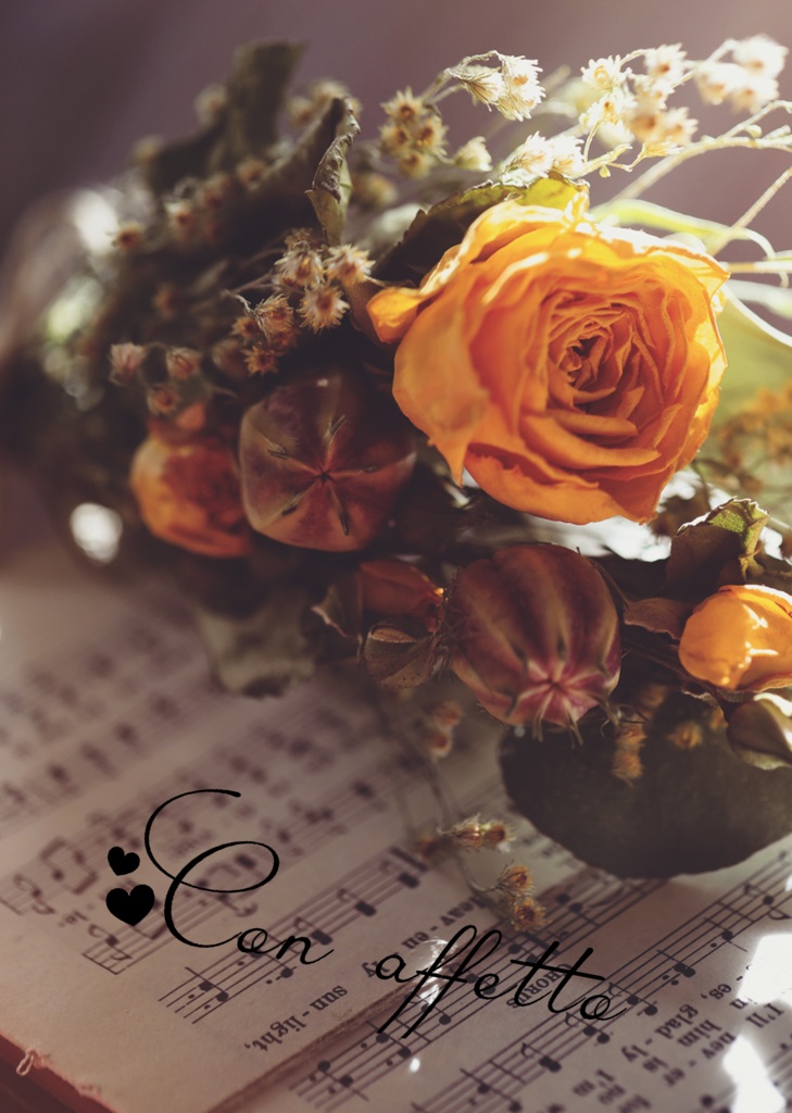 Con affetto pia*pia BOOTH