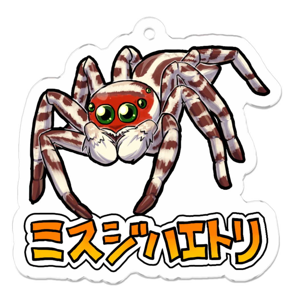 ミスジハエトリアクキー