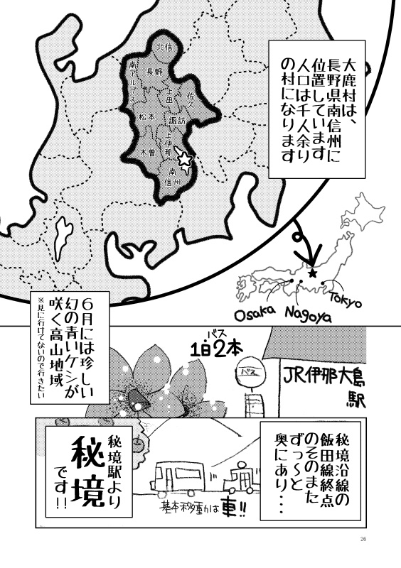 大鹿村チンドン記改訂版