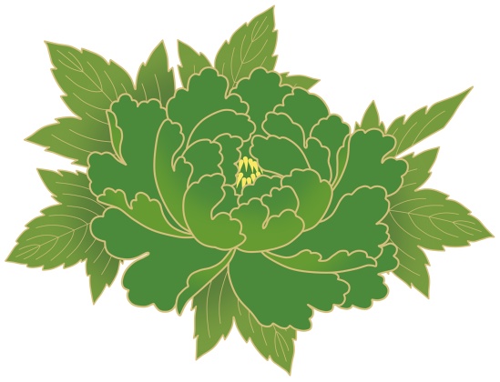 牡丹イラスト素材