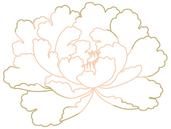 牡丹イラスト素材