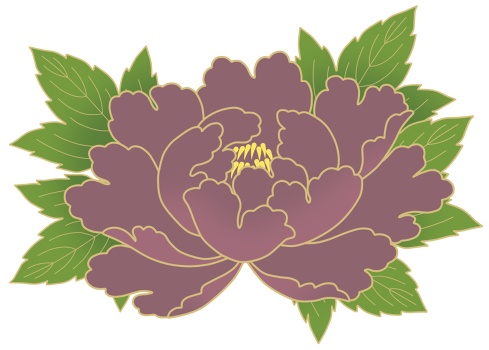 牡丹イラスト素材