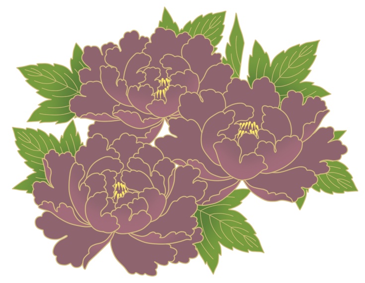 牡丹イラスト素材